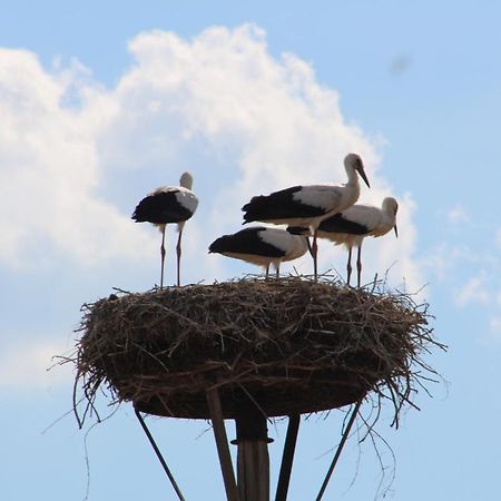 Apartmán Am Storchennest Damnatz Exteriér fotografie