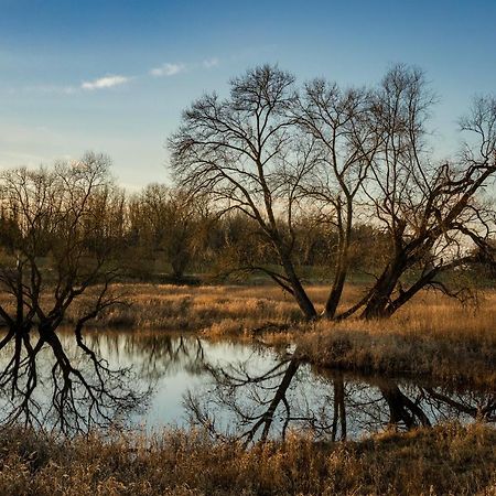 Apartmán Am Storchennest Damnatz Exteriér fotografie